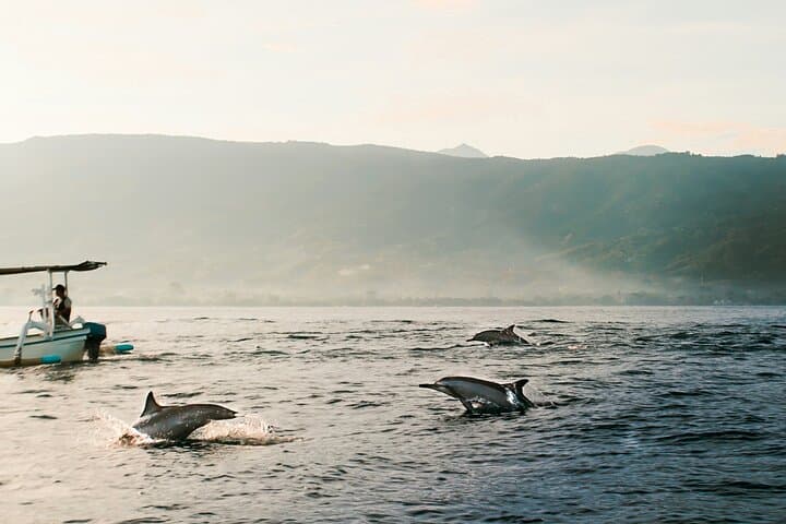 Dolphin Watching at Lovina Beach and North Bali Sightseeing Tour — photo 1 of 11