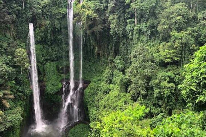 Discover Sekumpul and Banyumala Waterfall Adventure Tour — photo 1 of 7