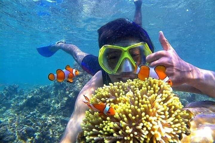 Bali : Snorkeling Trip - Blue Lagoon & Tanjung Jepun with Lunch — photo 1 of 11