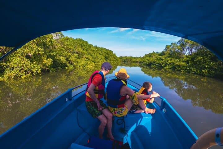 Bali Tropical Snorkeling and Mangrove Cruise — photo 1 of 44