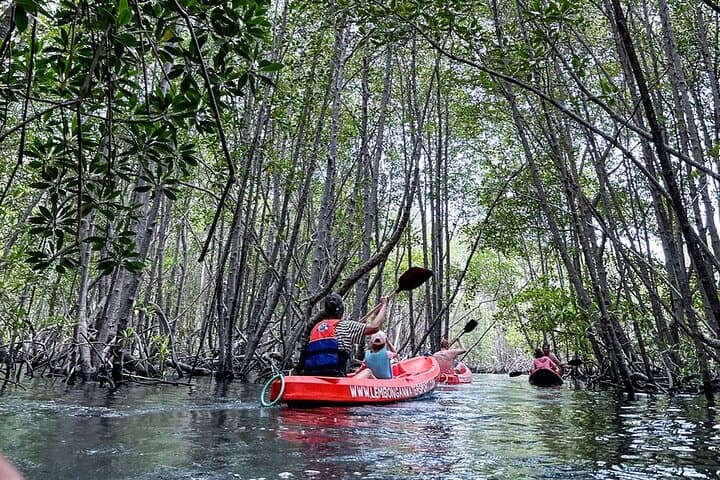 1 Hour Mangrove Tour From Lembongan with Kayak, Paddle, or Boat — photo 1 of 6