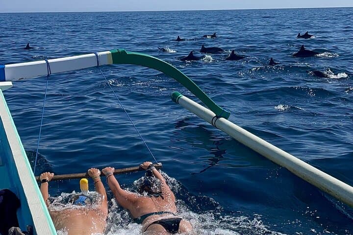 Bali : Dolphin Sunrise Experience Tour Private All Inclusive — photo 1 of 11