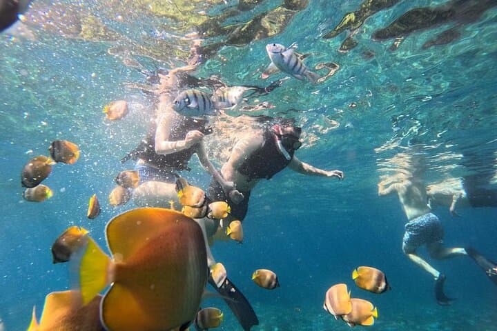 Blue Lagoon Tanjung Jepun Snorkeling Lunch And Private Transfer — photo 1 of 33