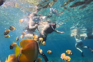 Blue Lagoon Tanjung Jepun Snorkeling Lunch And Private Transfer