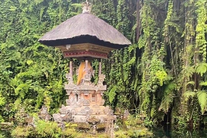 Ubud Tour - Ubud Highlight Culture, Tradition, Nature — photo 1 of 5
