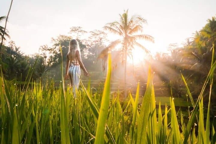 Ubud Waterfalls, Temple & Rice Terraces Private Tour — photo 1 of 4
