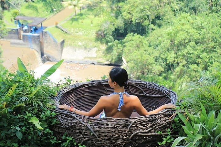 Bali Swing Packages and Uluwatu Temple Sunset Private Tour — photo 1 of 13