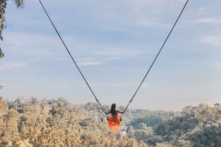 Ubud Monkey Forest, Rice Terrace and Waterfall - Private Tour — photo 1 of 13