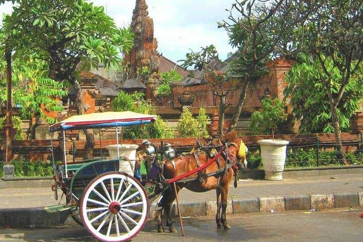 Discover Bali : Shore Excursion from Benoa Port with Free Wi-Fi — photo 1 of 15
