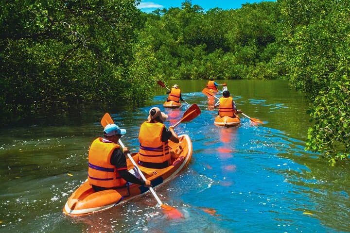 Bali Mangrove Canoeing Tour in Jimbaran/Kedonganan — photo 1 of 43