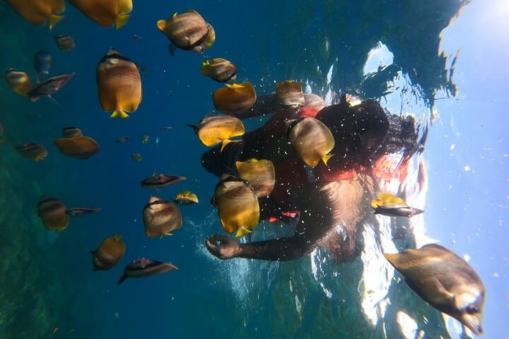 Nusa Penida Tour: Private Snorkeling & Ultimate Island Highlights — photo 1 of 13