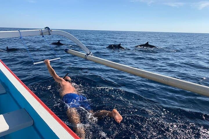 Lovina Dolphin Watching, Swimming, and Snorkeling Experience — photo 1 of 8