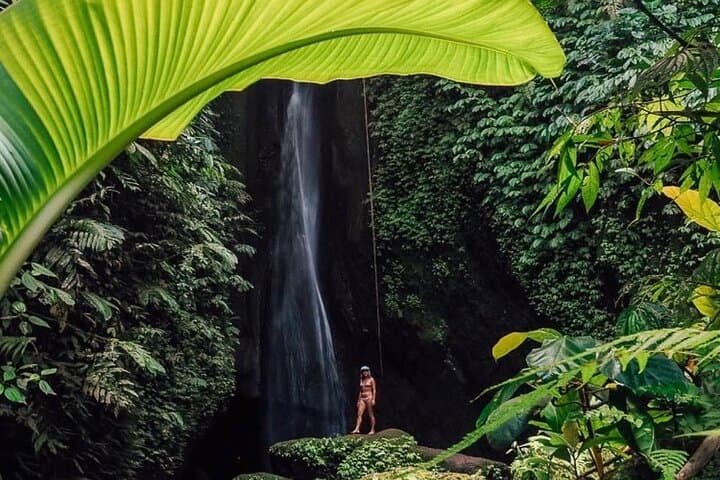 Bali : Northern Bali Private Day Trip with Transfer — photo 1 of 16