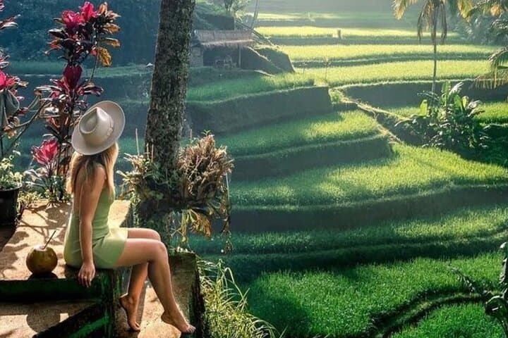 Full Day Private Tour in Ubud Jungle Swing and Waterfalls — photo 1 of 26