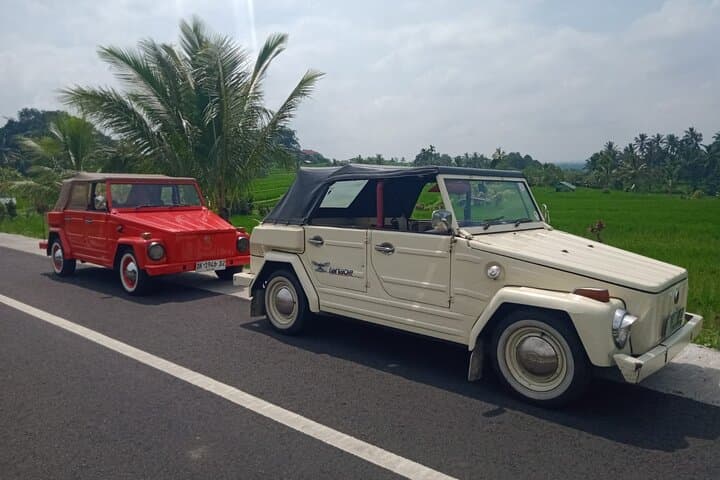 Bali Classic Volkswagen Safari and Kintamani Volcano Private Tour — photo 1 of 14