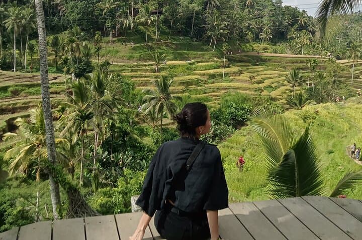 Ubud Half Day Private Tour Rice Terraces Temple Waterfall — photo 1 of 31