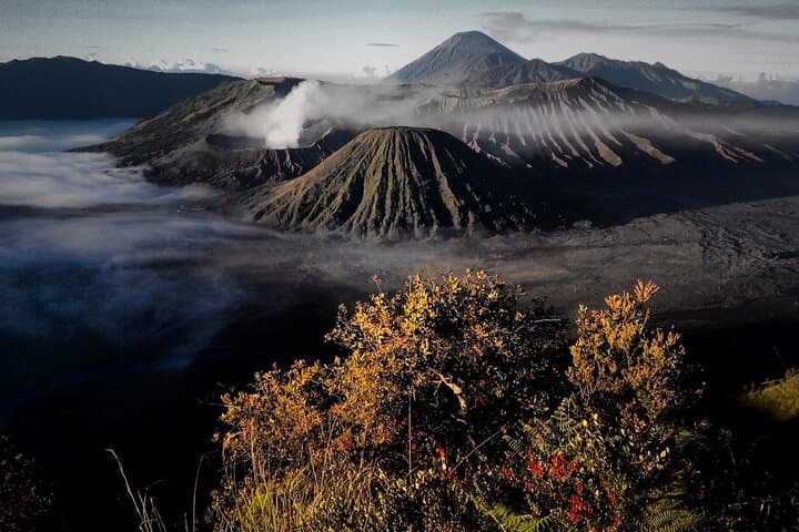 Shared Bromo Tour Start From Malang - 1D — photo 1 of 11