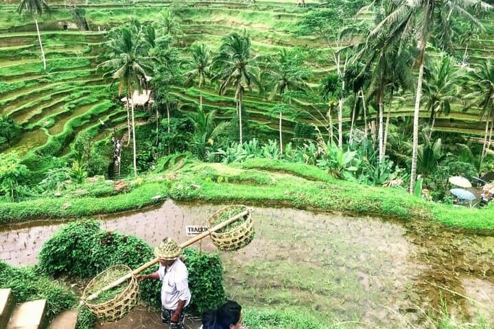 Private Tours to The Heart Of Bali Island — photo 1 of 7