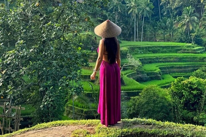 Ubud Highlight Tour Monkey Forest, Waterfall, Temple & Tegalalang — photo 1 of 28