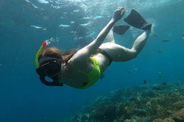 Bali Blue Lagoon Snorkeling, Tirta Gangga and Tenganan Village — photo 1 of 15