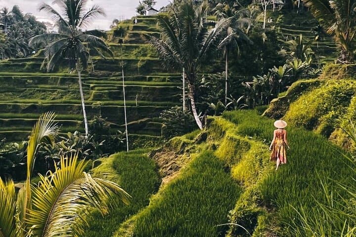 Ubud Monkey Forest, Rice Terrace & Tirta Empul Temple Tour — photo 1 of 7
