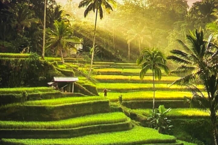 Best of Ubud: Rice Terrace, Waterfall, Sacred Temple, Art village — photo 1 of 8
