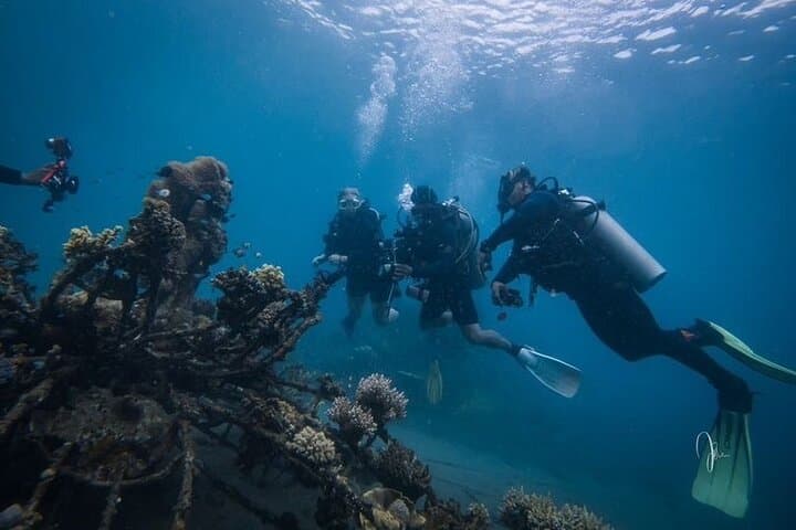 Try Dive Program in the Biorock Pemuteran — photo 1 of 12