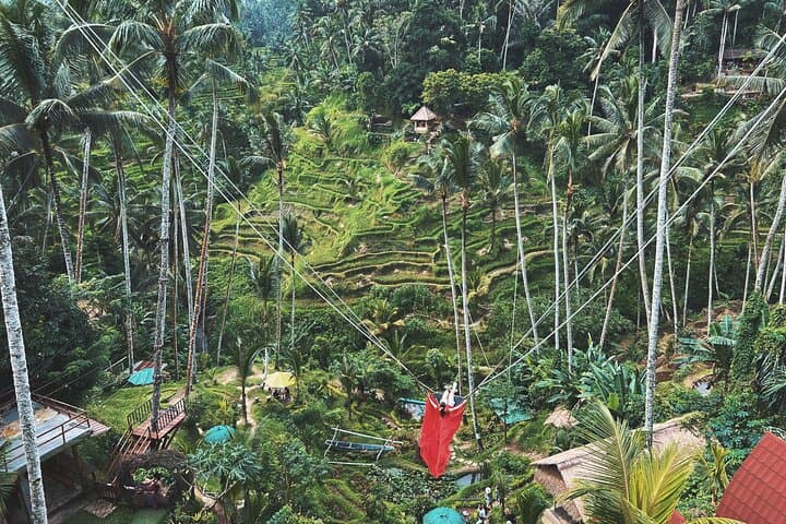Ubud Private Tour: Waterfall, Monkey Forest, Rice Terrace — photo 1 of 6