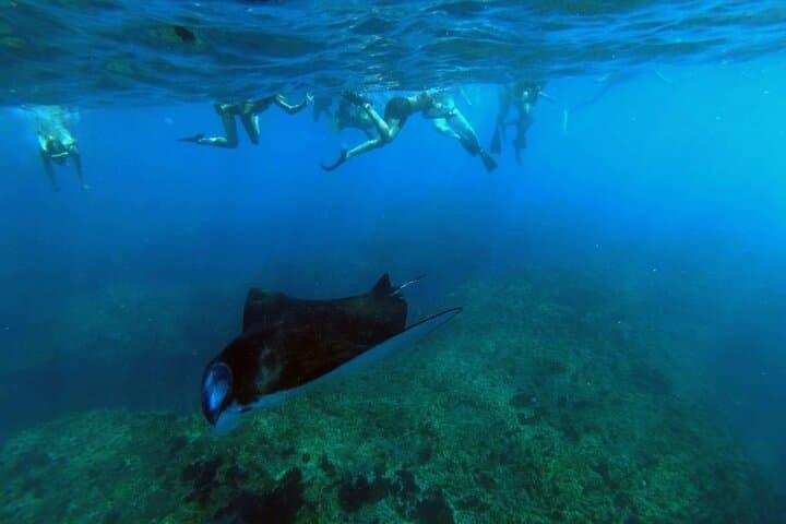 Nusa Penida 4 Spot Snorkeling with Manta and Island Tour — photo 1 of 12