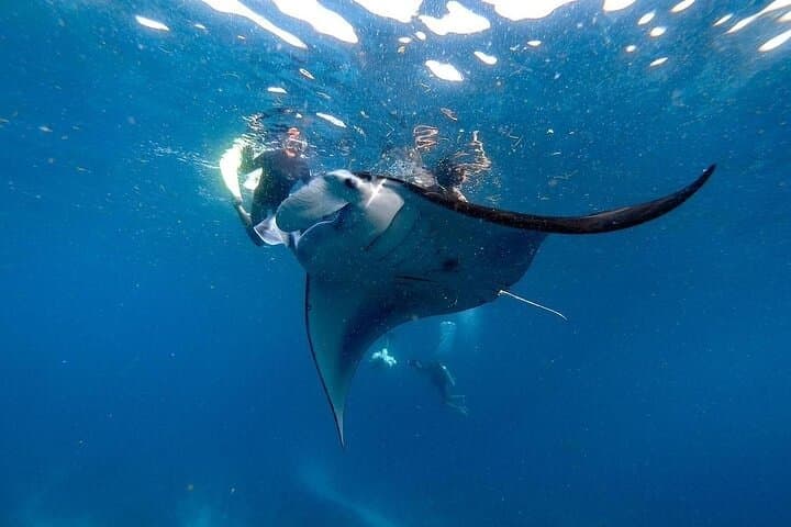 PRIVATE Nusa Penida on Boat Snorkeling & Island Tour (INCLUSIVE) — photo 1 of 39