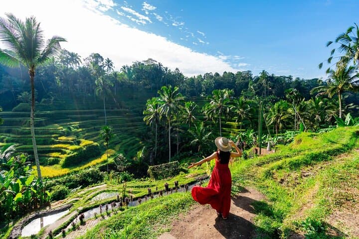 Best of Ubud Private Tour: Waterfall, Tirta Empul & Tegalalang — photo 1 of 21