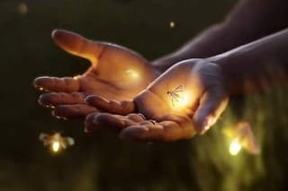VIllage Firefly Night Tour - Ubud Bali
