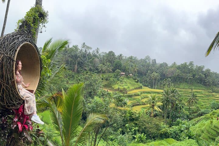 Ubud Highlight Private Tour - All Inclusive Entrance fee — photo 1 of 16