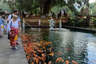 Bali Swing Volcano Rice Terrace And Waterfall Private Guided Tour