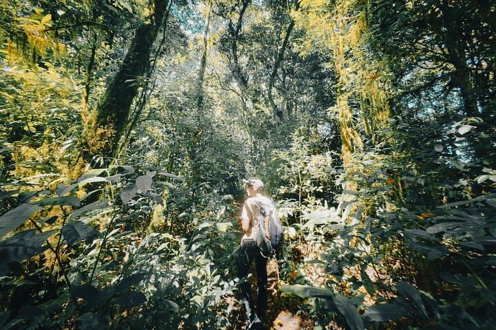 Bali Rainforest Hiking With Canoeing And Waterfall Adventure — photo 1 of 14