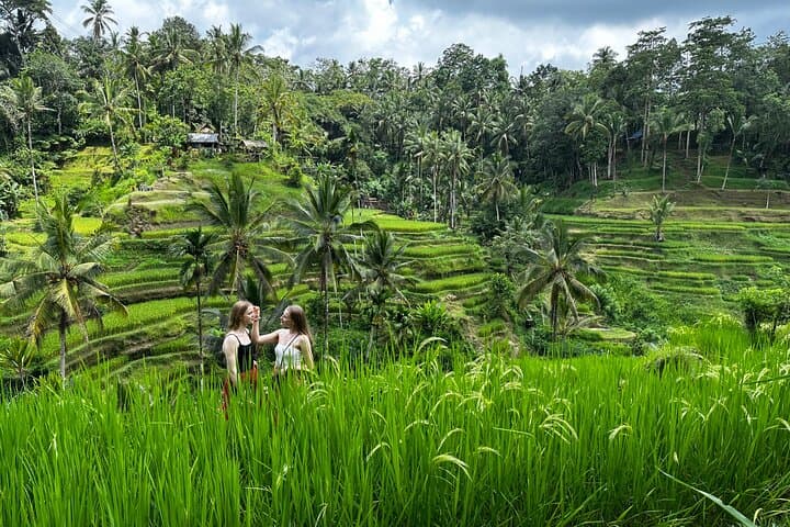 Bali Sunrise Without Hiking: Temples, Rice Terraces & Waterfall — photo 1 of 13