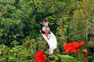 Ubud Private Tour : Waterfall, Temple, Rice terrace and Swing