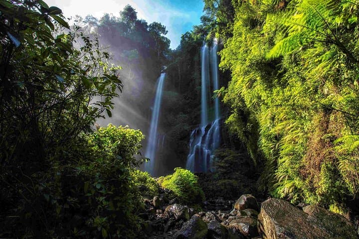 Munduk Sekumpul and Banyuwana Waterfall Trekking Tour — photo 1 of 6
