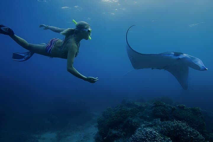 From Bali: Nusa Penida Snorkeling and Island Tour — photo 1 of 16