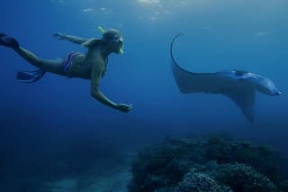 From Bali: Nusa Penida Snorkeling and Island Tour