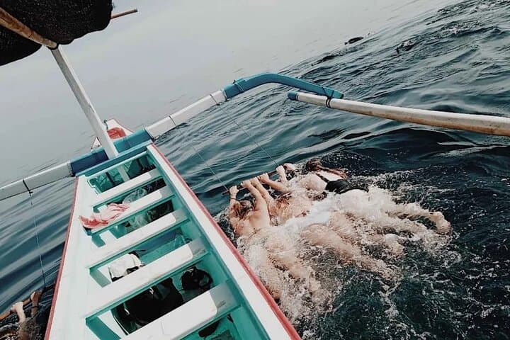 Lovina Dolphin watching and swimming with Dolphin — photo 1 of 3
