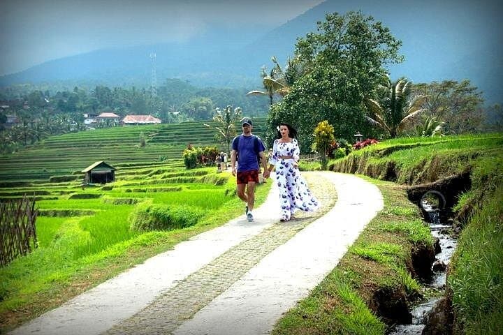 Jatiluwih Rice Terace & Swing Tour — photo 1 of 11
