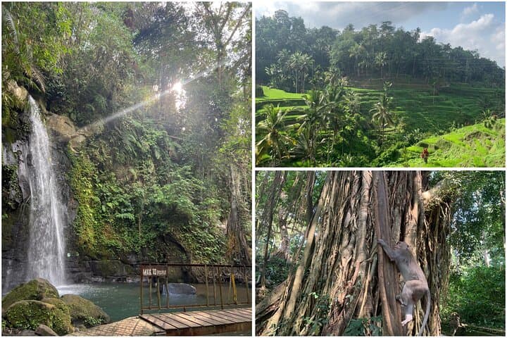 Monkey Forest Ubud Half day Tour — photo 1 of 6