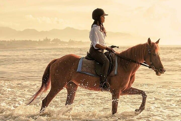 Bali Horse Riding, Waterfall, Rice Terrace, Lunch - All Inclusive — photo 1 of 18