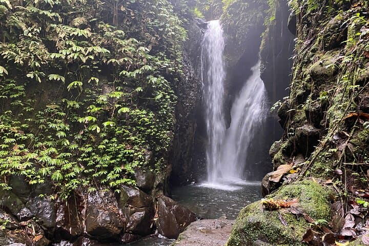Twin Waterfalls Private Tour in Bali — photo 1 of 24