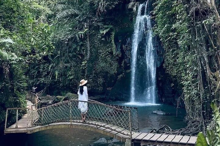 Private Guided Tour: The Best Of Ubud With Jungle Swing — photo 1 of 15