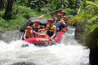 Bali Ayung River Rafting with Lunch and Optional Transfers