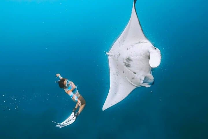 Manta Point Snorkeling & West Nusa Penida Island Day Tour — photo 1 of 12