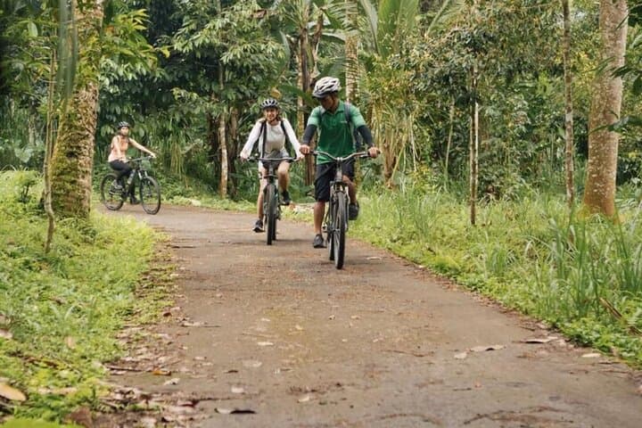 Kintamani to Ubud Downhill Bike Tour with Lunch — photo 1 of 7