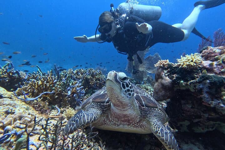 Scuba Diving Menjangan Island — photo 1 of 9